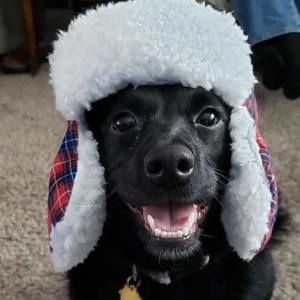 Meet your Posher, Kevin